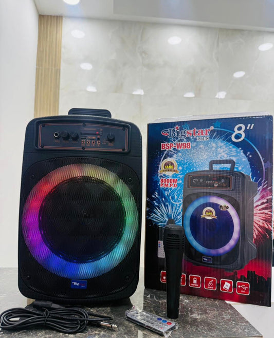 Parlante karaoke bigstar 8"
